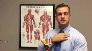 5 Neck Stretches You Need To Know!