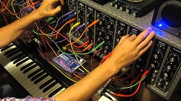 Experiment 1 (Q125 & Q130)