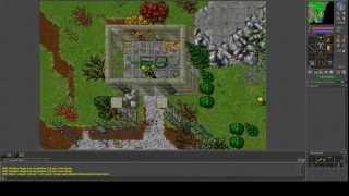 Tibia Copper Shield Quest + relaxing music