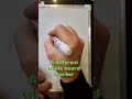 Permanent marker removal that actually works #cleaning #tutorial #hack