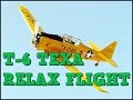 T-6 A2A RELAX &quot; Disfruto Volando&quot;