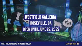 Tianyu Lights Festival Roseville Closing Soon