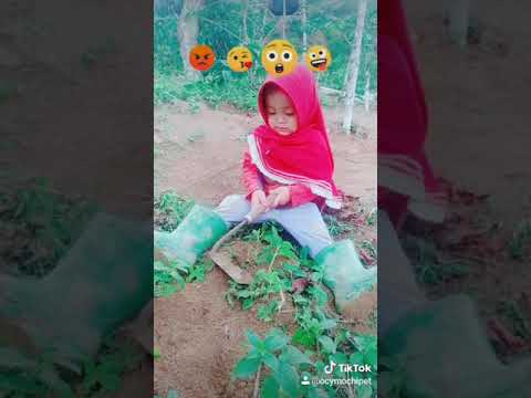 ANAK KECIL MAIN TIKTOK LUCU 2021