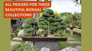 Bonsai Garden Visit - At Manuel & Susan Lees House & Garden Blessing Part W English Subs