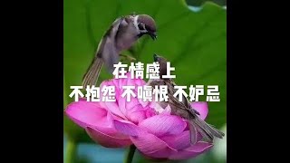 201905 在情感上不抱怨 不嗔恨 不妒忌51203