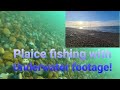 Plaice Fishing with Underwater Footage! Sea fishing uk 2021