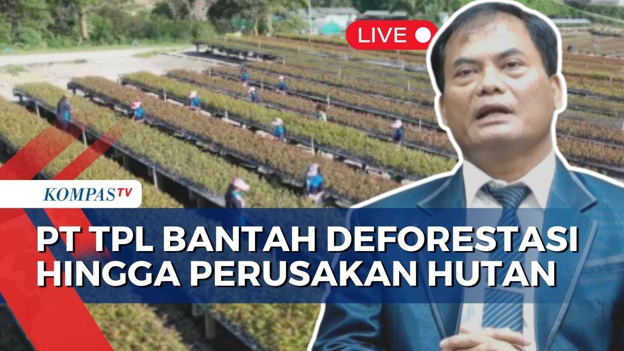 [FULL] Didesak Tutup Perusahaan, Begini Jawab Direktur PT TPL Soal Tudingan Perusakan Hutan