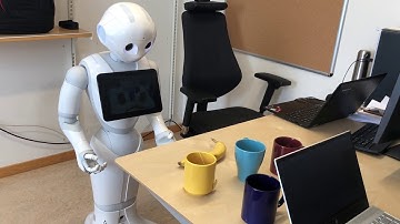 A Fuzzy Inference System for a Visually Grounded Robot State of Mind