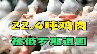 紧急通报！22.4吨中国鸡肉被俄罗斯退回！土霉素残留超标引关注