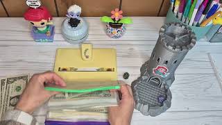 Cash Envelope Stuffing | Sinking Funds | Save$120