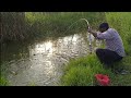 Best village fishing 🎣🦈🐬🐳 Big wallago Fish Catching|Tilapia Fishes Amazing Fishing Village Fishing