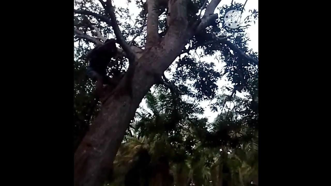 nakapatay-ng-madamot-na-tao-youtube