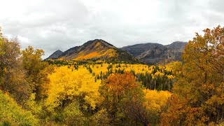 Fall Drive Over the Alpine Loop