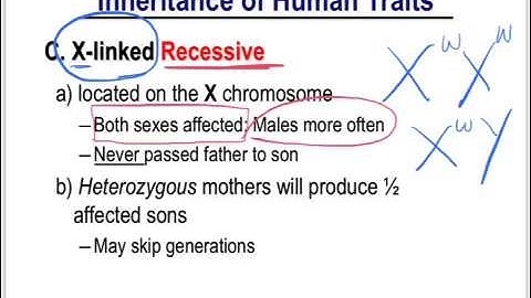 Human Inheritance Patterns