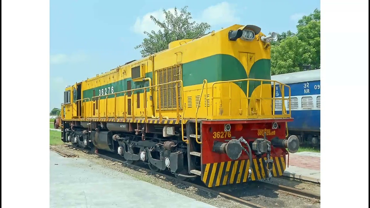 CHEESE YELLOW WDM3D MODEL SHUNTER ENGINES REST AT GOODS SHED WDS6AD 36276 & 36318