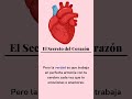 El Secreto del Corazón | Spanish Listening &amp; Reading