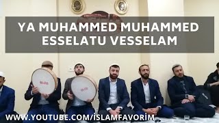 ADEM ACAR | YA MUHAMMED MUHAMMED ESSELATU VESSELAM Resimi