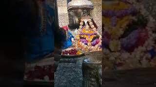 Shri Kedarnath Jyotirling Aarti Live Video