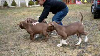 DSCN0695.avi