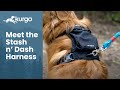 Meet the Stash n' Dash Harness