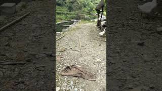 IMG 3830