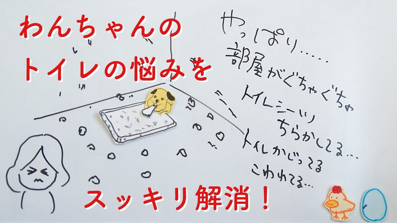 いたずらされない犬用トイレ 留守番中も安心 犬用ステンレス製トイレトレイ Youtube