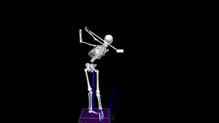 Golf biomechanics swing analysis screenshot 4
