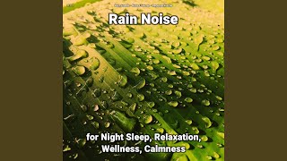 Rain Noise Pt. 19