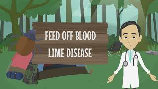 Summer Skin Irritations And Insect Bites