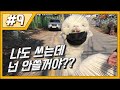 다들 몸 조심하세요(feat.파카) [반려동물, 산책, 집사, 조심, 예방, 알파카, 마스크, 필수]