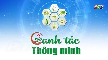 Canh tác hồ tiêu hữu cơ