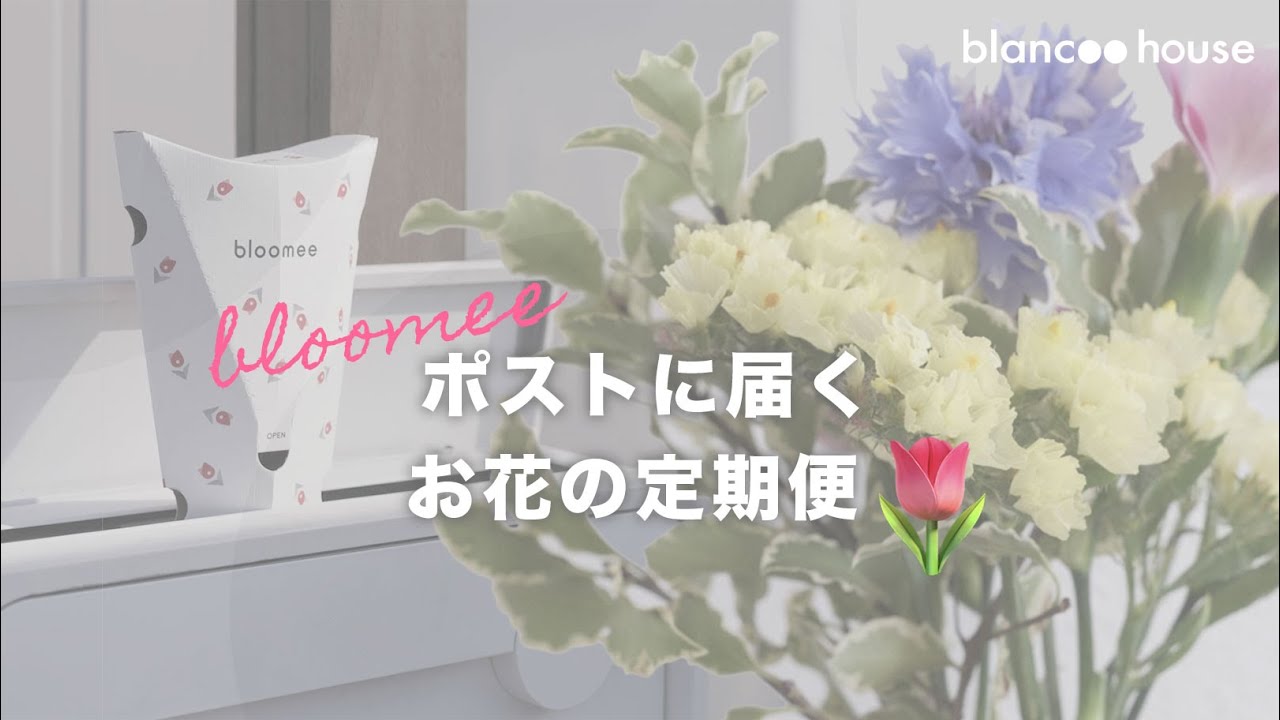 お花の定期便 ブルーミー Bloomee を1年ほど愛用中 ポストに届いて便利です Youtube
