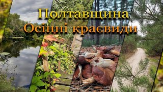 Полтавщина. Осінні краєвиди.