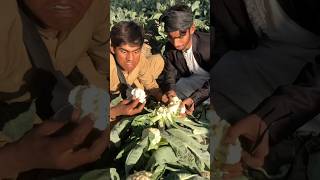 Ghoobi K Sath Hera Pherilastp