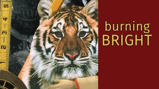 Geisha Tiger Collage – A Collage Fairytale…And Another Visit From My Critic screenshot 2