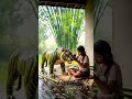 Rain sounds for relaxing #rainsounds #relaxingrain #rain #rainyday #rainvibes #rainmusic #hujan
