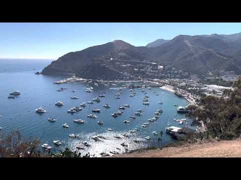 Crusing to Catalina