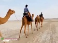 A Beautifull Simple Balochi Life A Short Videoโคโค Whatsapp Status Video Download Free