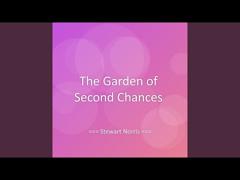 The Astr0girll Leak: A Story Of Second Chances
