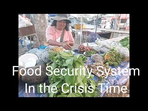 Food Security System In the Crisis Time
