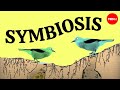 Symbiosis a surprising tale of species cooperation  david gonzales