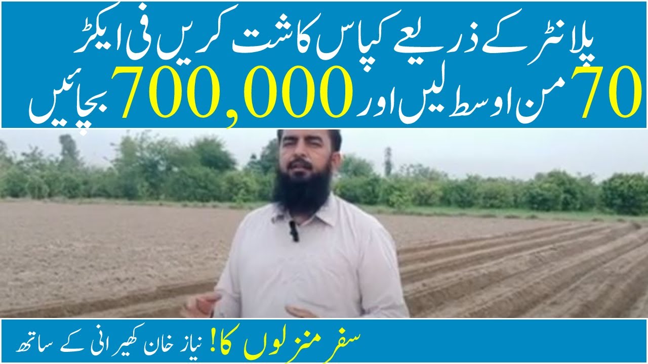 How to get better cotton production First cotton cultivation in Pakistan Cotton  - Niaz khan kherani