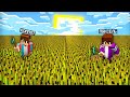 БИТВА ДРУЗЕЙ В МАЙНКРАФТ: КТО ЛУЧШИЙ ФЕРМЕР 100% ТРОЛЛИНГ ЛОВУШКА MINECRAFT КОМПОТ