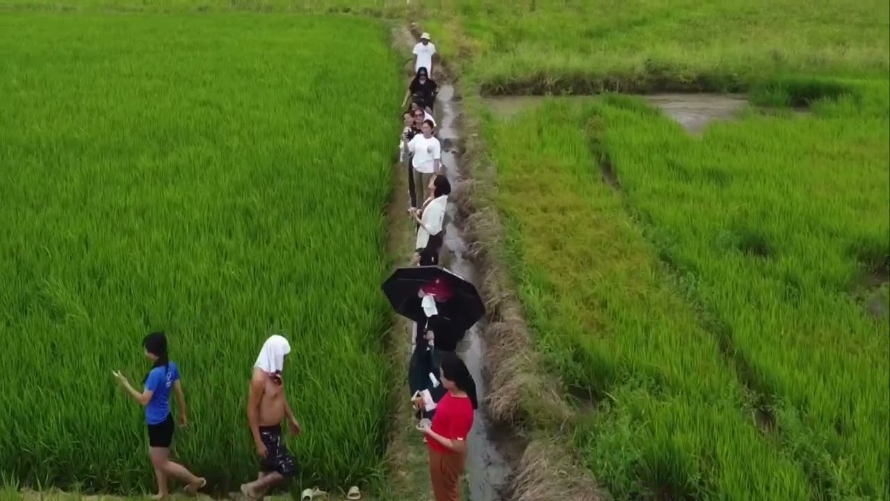 Negros 1st plaag to Ilo-Ilo Sara ( scenic view, rice field, playground )