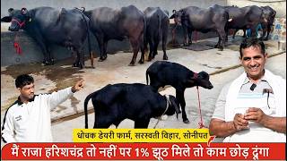 मैं राजा हरिशचंद्र तो नहीं पर 1% झूठ मिले तो काम छोड़ दूंगा || RAJBIR DHOCHAK, SONIPAT