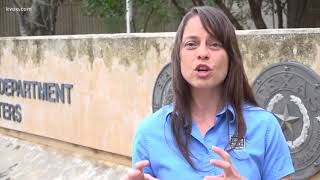 Zebra mussels infesting Lake Austin