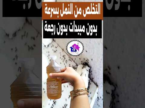 بالخل لن تجدي نملة بعد الآن