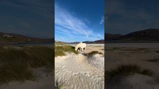 📍 Outer Hebrides, Scotland, United Kingdom