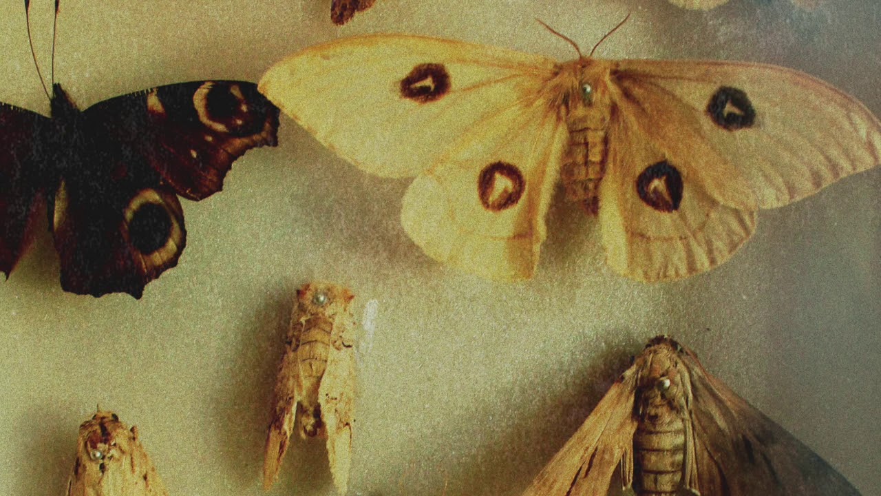 Progression [UK] - The Ishimura [Mord046]