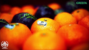 Citrus sorting & packing @ Domaines Zniber - Morocco 🍊 #greefa #sorting #packing